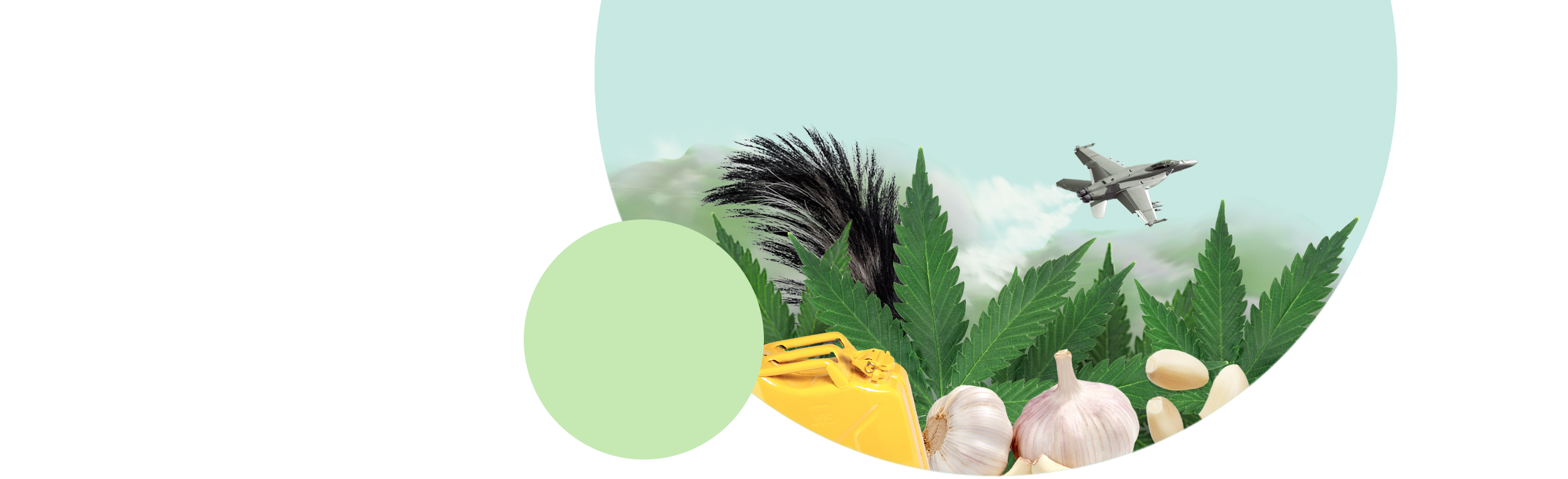 Jet Fuel Funk JOI Botanicals