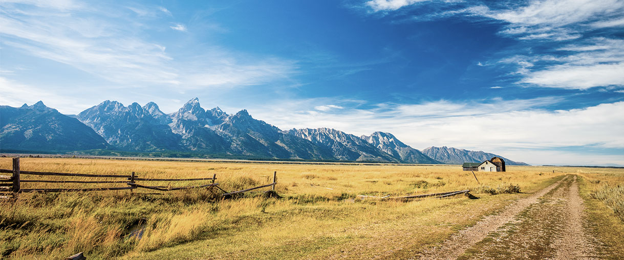 Alberta Leading The Industry